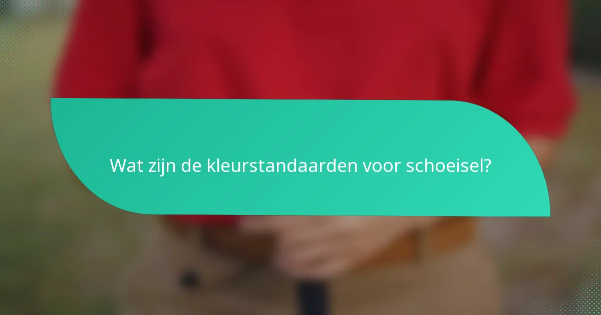 Wat zijn de kleurstandaarden voor schoeisel?
